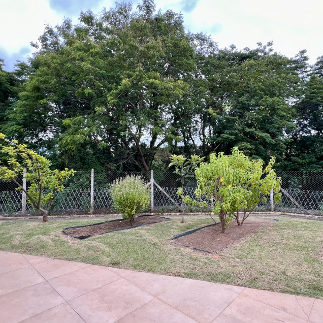Site-JD-do-parque-amendoeiras-2025-SITE15-1